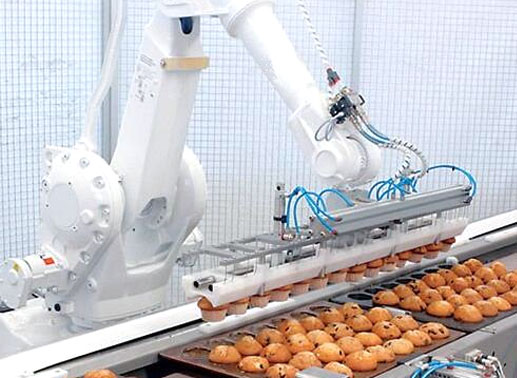 robot bearings for manipulators used in food industry