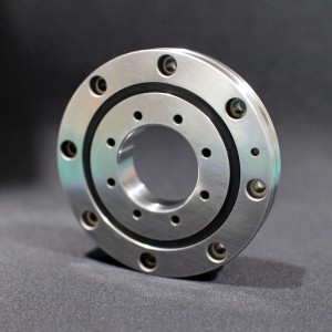 RU crossed roller bearing RIGBRS