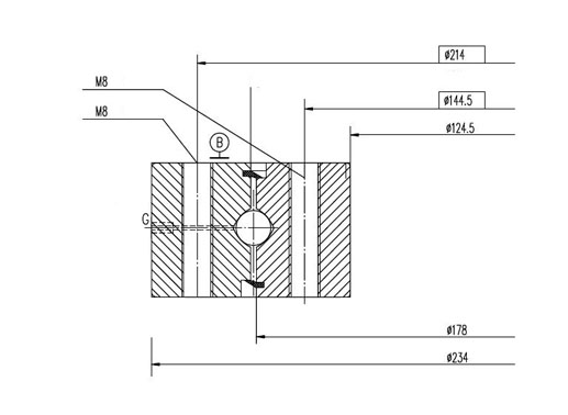 010.08.178 slew bearings structure