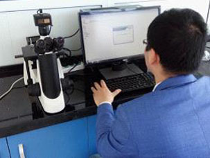 bearing metallurgical microscope  test